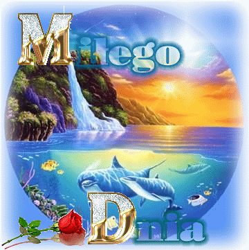 Miłego dnia delfinki